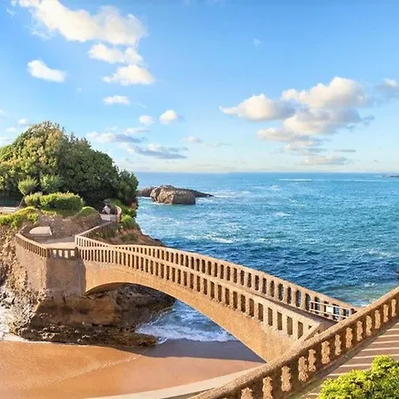 Spacieux A Biarritz, Proche Commerces Et - Fr-1-3-541 Apartment *